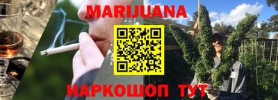 МДПВ Бердск